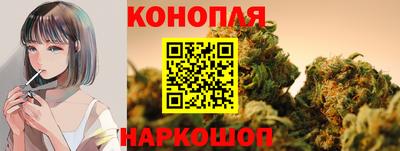 гидропоника Тулун