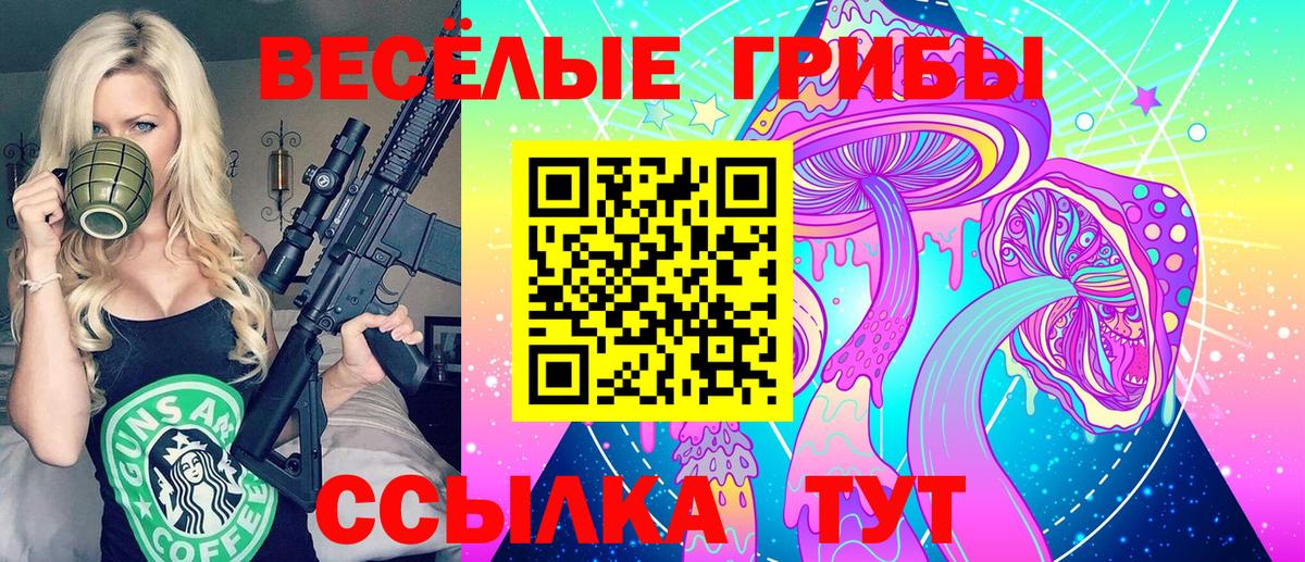 Галлюциногенные грибы Psilocybe Нижневартовск